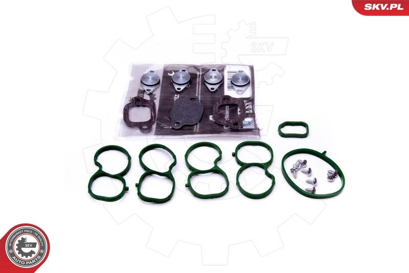 Repair Kit, intake manifold module